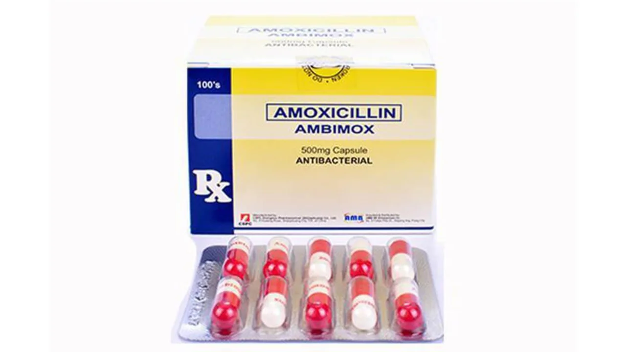 Beste Amoxil Angebote: Sparen Sie Groß bei Antibiotika